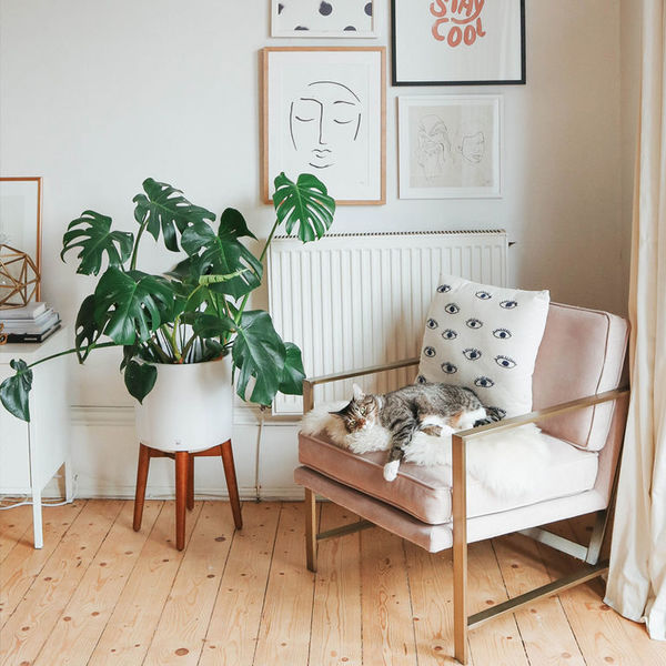 Как уютно обустроить квартиру: 25 чудесных идей с Пинтерест - Я Покупаю