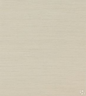 Обои Colefax and Fowler Textured 07179-02