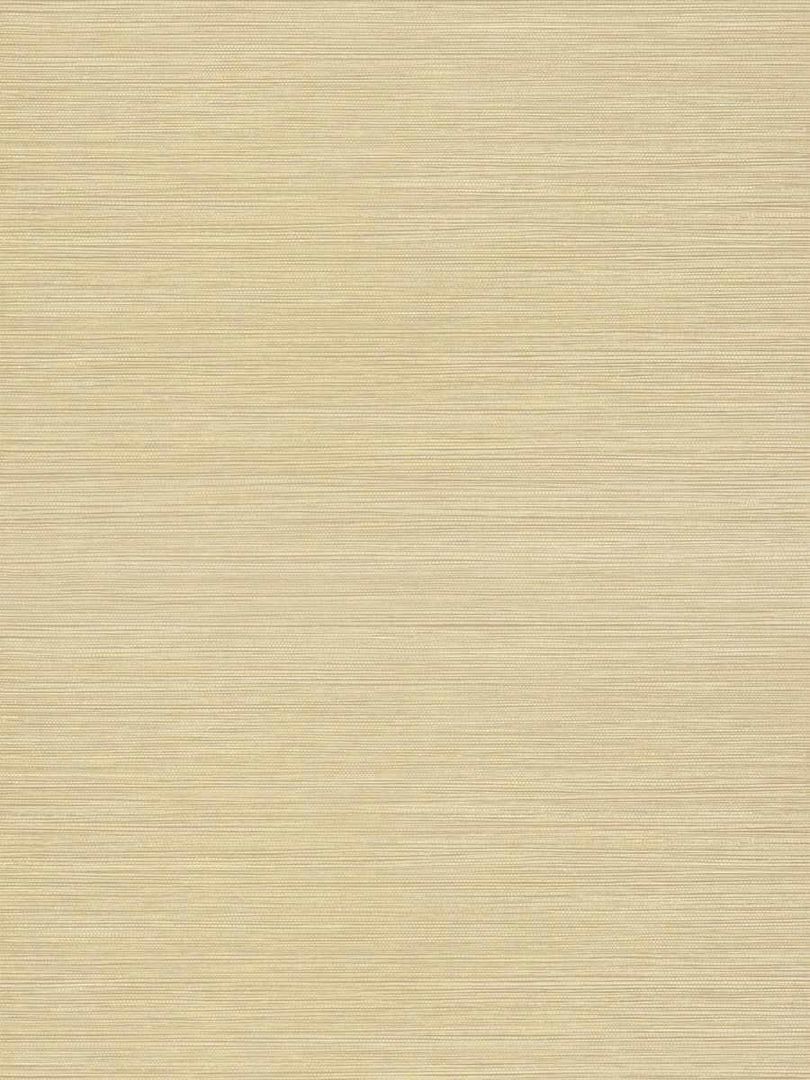 Обои Fabricut Vinyl Texture Resource 50301W Veld 27" PARCHMENT-04 1247099855 фото 1