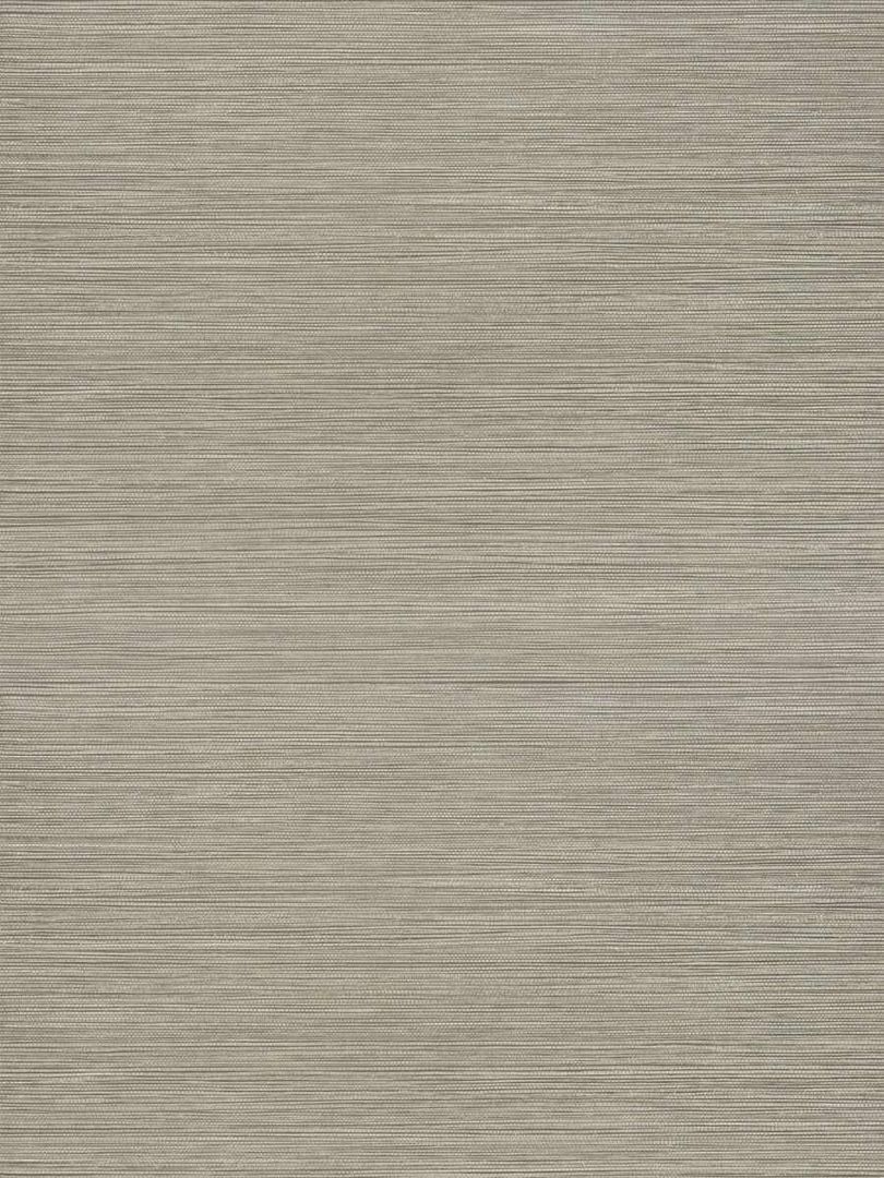 Обои Fabricut Vinyl Texture Resource 50301W Veld 27" SILVER-07 1075445843 фото 1