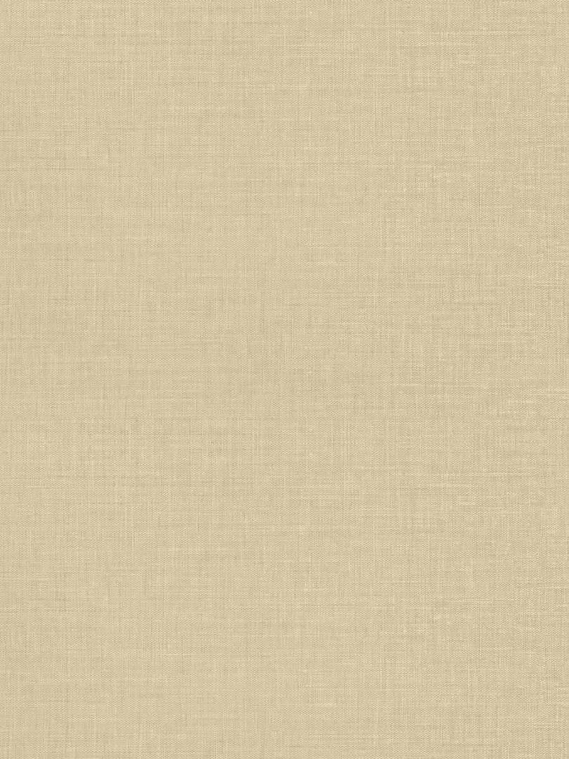 Обои Fabricut Vinyl Texture Resource 50302W Steppe 27" PAPYRUS-02 602661542 фото 1