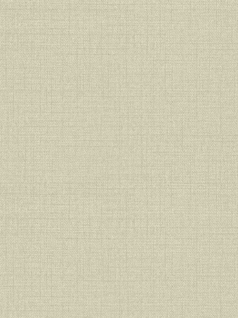 Обои Fabricut Vinyl Texture Resource 50303W Cerrado 54" EGGSHELL-06 1111079321 фото 1