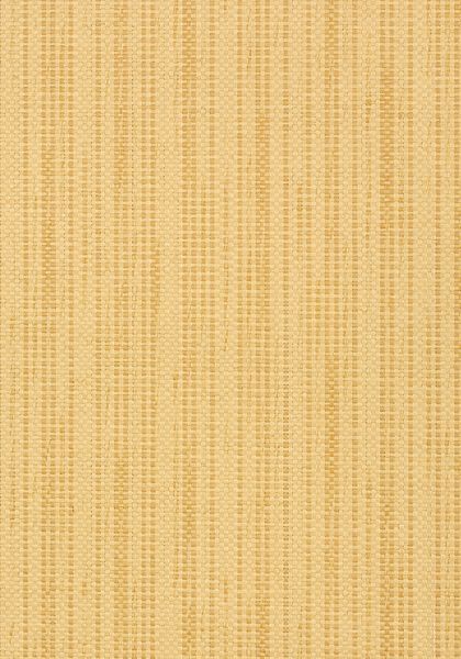 Обои Thibaut Grasscloth Resource 3 T41101 1126461518 фото 1