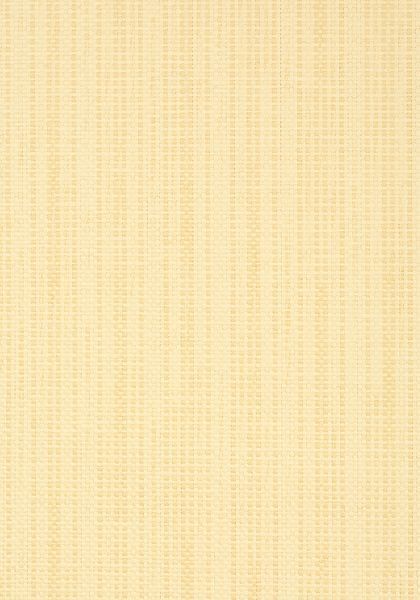 Обои Thibaut Grasscloth Resource 3 T41103 1126461516 фото 1