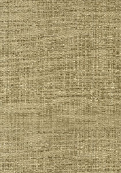 Обои Thibaut Grasscloth Resource 3 T41109 1126461526 фото 1