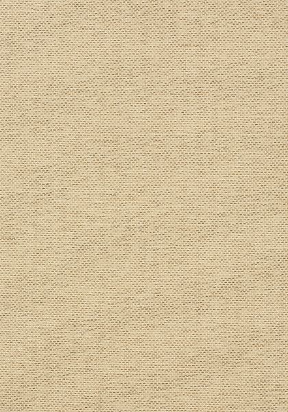 Обои Thibaut Grasscloth Resource 3 T41129 2005706356 фото 1