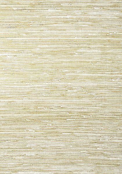 Обои Thibaut Grasscloth Resource 5 T24059 1505800543 фото 1