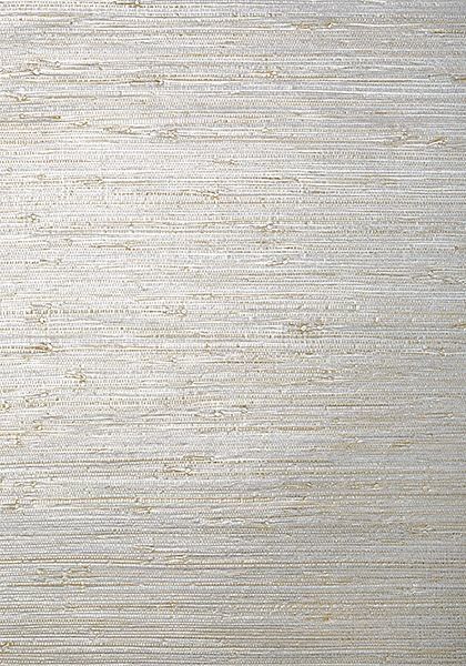 Обои Thibaut Grasscloth Resource 5 T24063 1102516026 фото 1