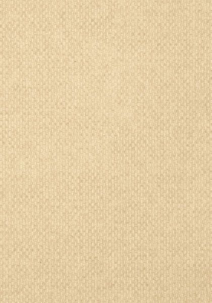 Обои Thibaut Texture Resource 4 T14167 1192779308 фото 1