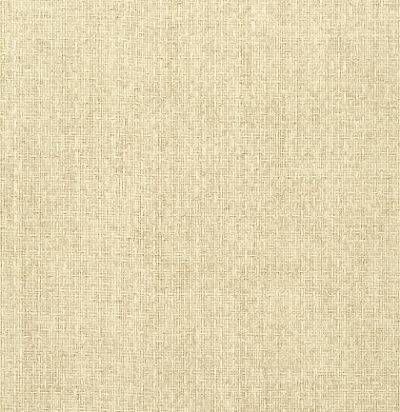 Обои Thibaut Texture Resource 5 T57111 1066206861 фото 1