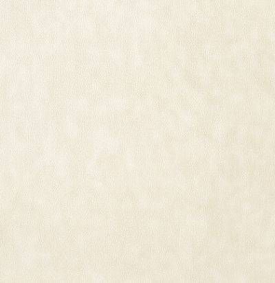 Обои Thibaut Texture Resource 5 T57158 1848674051 фото 1